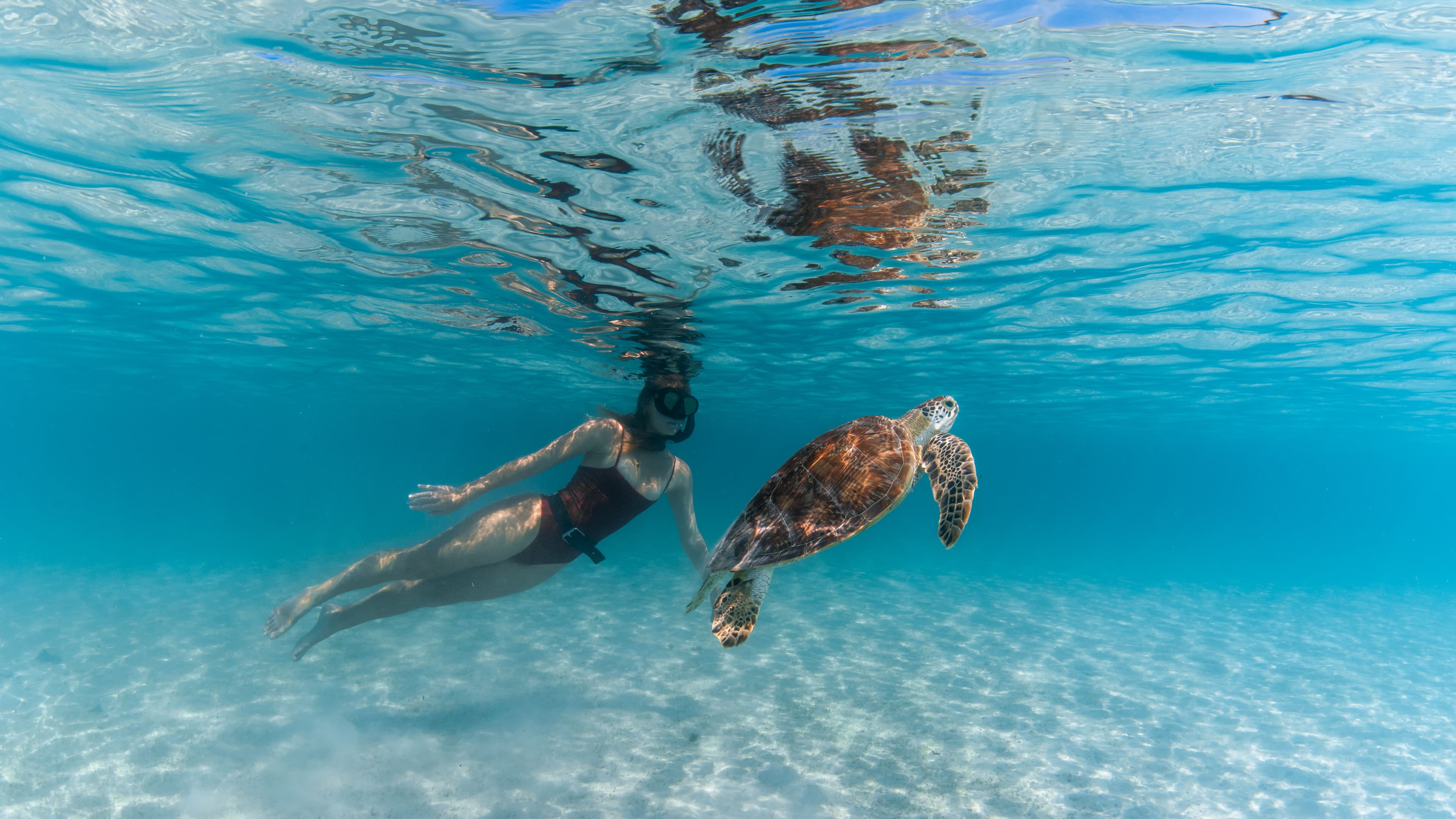 Discover La Ruta del Mar: Playa del Carmen's Exciting New Ocean Culture Route