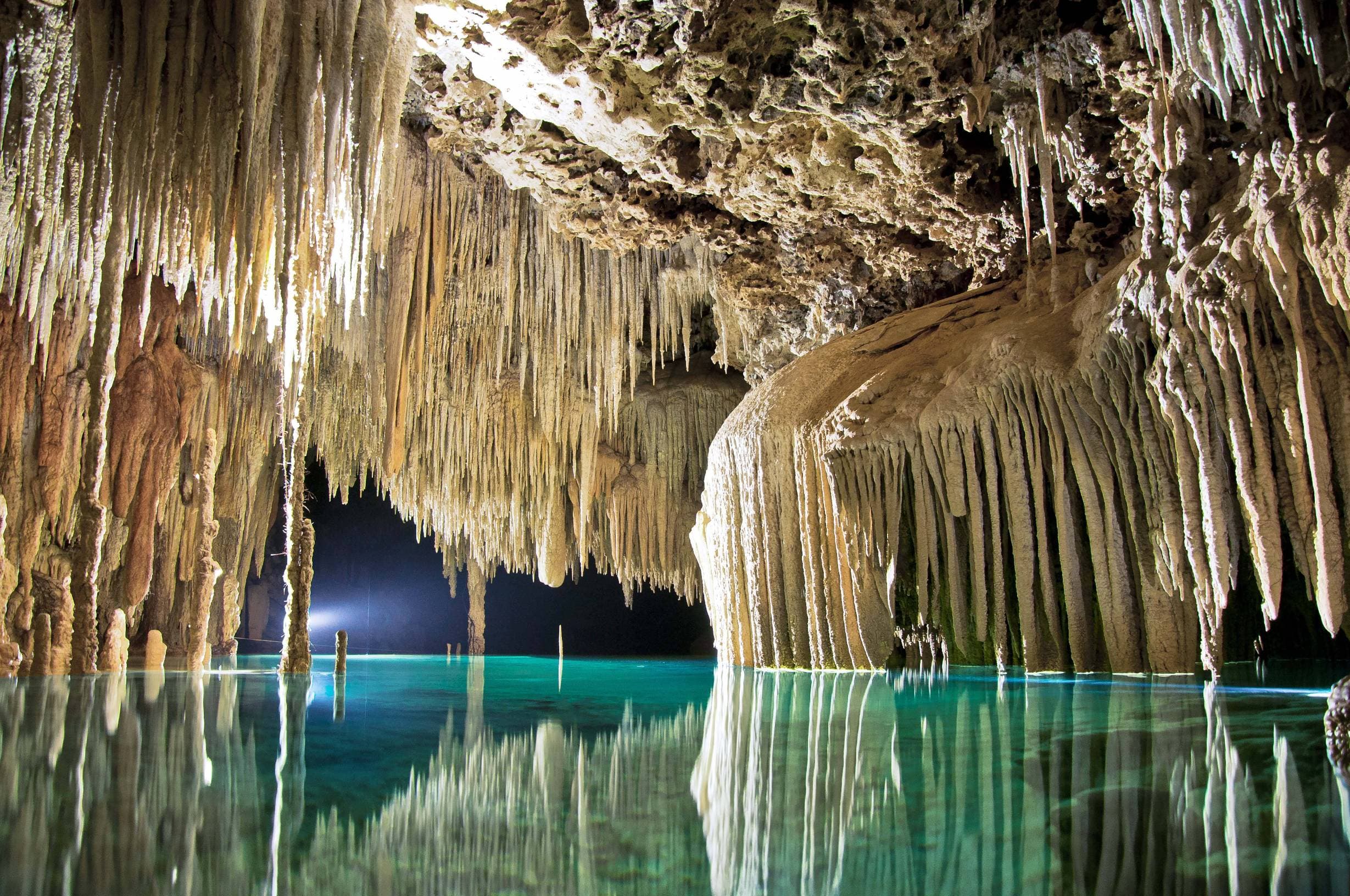 7 Best Cenotes Near Playa del Carmen (2026 Local Guide)